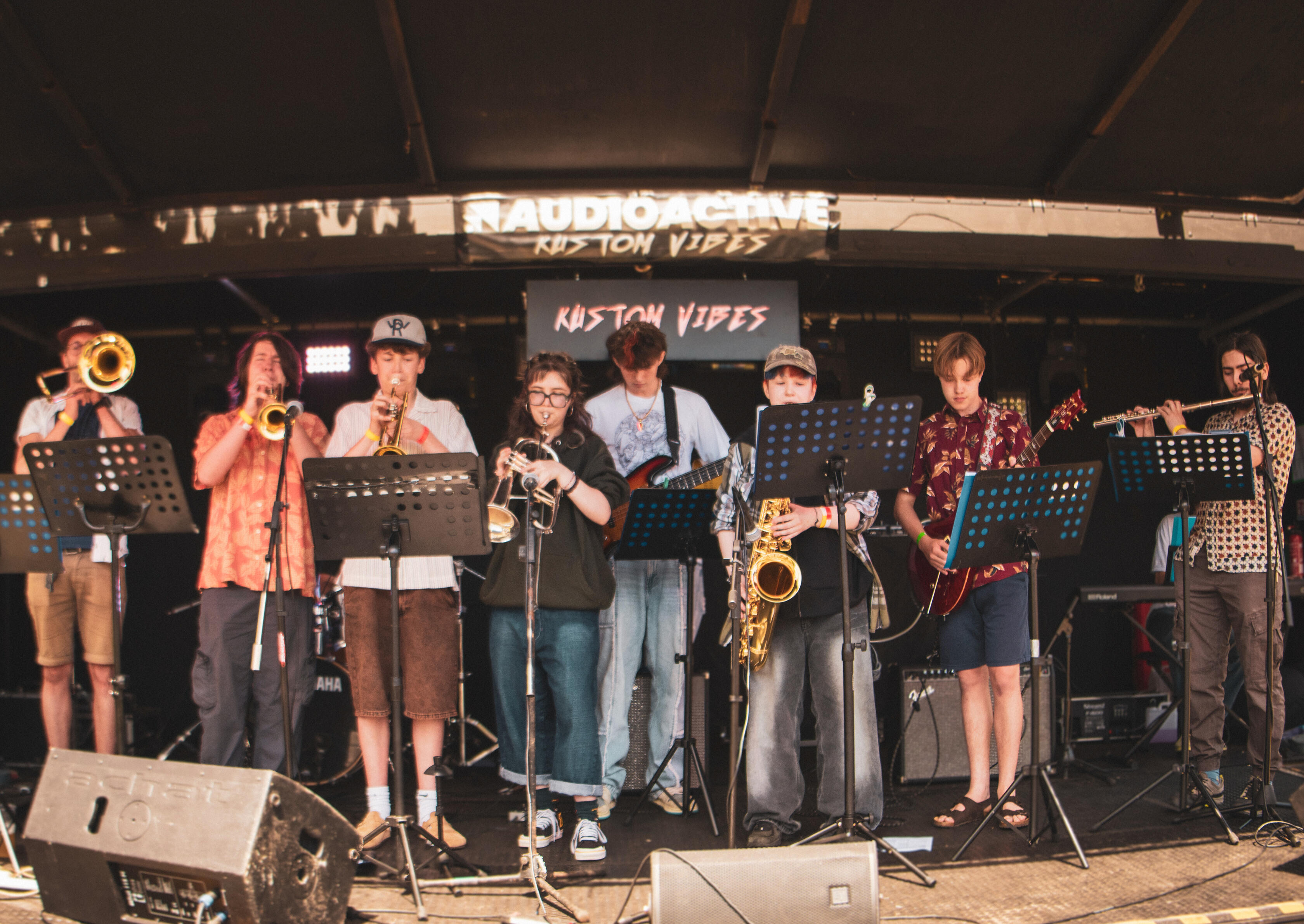 Audience with arms in the air